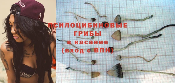 эйфоретик Зеленодольск