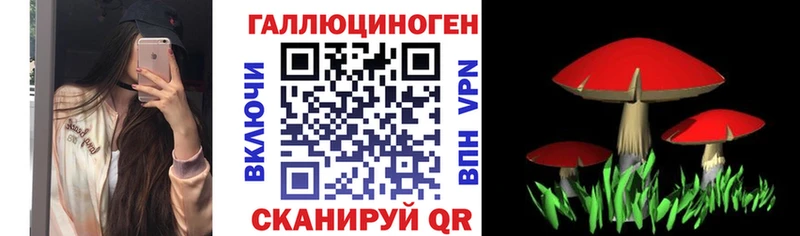 Галлюциногенные грибы Psilocybine cubensis  Купить  Сунжа 